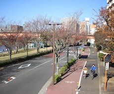 写真撮影 : あなたの生きた証を撮影してきます イメージ1