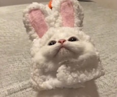 INFP大学生がお悩み聞きます イメージ1