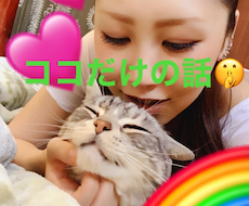 人に話せないお話、秘密を聞きます イメージ1