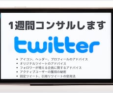 1週間Twitterコンサルします Twitterの運用・集客方法に困っている方へ全力サポート