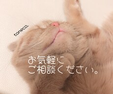 ワンコイン☆3枚のカードで占います イメージ1