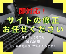 お持ちのWebサイトを修正いたします イメージ1