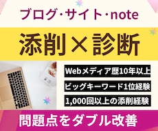 記事添削＋ブログ診断⭐︎アフィリエイト改善します 文章×アフィリエイト×SEO×収益化の問題点をダブル改善