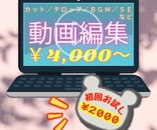 初回お試し価格あり♪動画編集承ります イメージ1