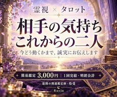 相手の気持ちと今後を霊視タロットで鑑定します イメージ1