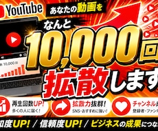 Youtube動画をなんと10,000回拡散します イメージ1