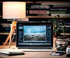 サイトが開かない、403エラーのトラブル復旧します イメージ1