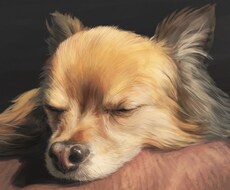 リアルで存在感のあるイラストを描きます 毛並みやお顔をしっかりと描きこんだリアルなイラスト