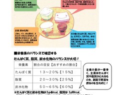 栄養相談にのります イメージ1