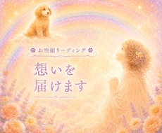 お空組リーディング☆想いを届けます 虹の橋のあの子へ愛を届け、優しいお返事を受け取ります