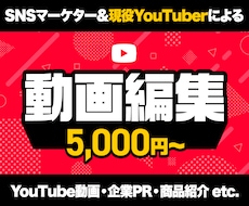 登録者１万人！現役YouTuberが動画編集します ニーズに合わせた効果的な動画編集をいたします！