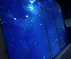 新米ママの心のモヤモヤを共感します イメージ1