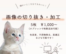 細かいところまできれいに！画像加工します 切り抜き、背景、色変更など、素早く対応します！