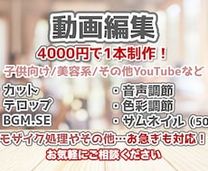 最低4000円から動画制作いたします 修正３回まで『無料』丁寧に心を込めて楽しく制作！