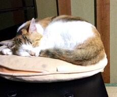 貴方の心の悩み  何でも聴きます イメージ1