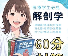 医療系学生のための解剖学！分かるまで寄り添います イメージ1