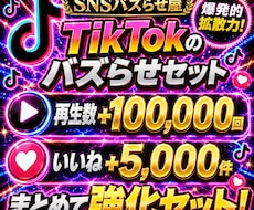 TikTok再生＋いいねを増やします イメージ1