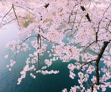 小さい事から大きいことまでお聴きします イメージ1