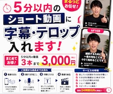 5分以内のショート動画3本に字幕を入れます ショート動画の文字起こしを早く丁寧に仕上げます！