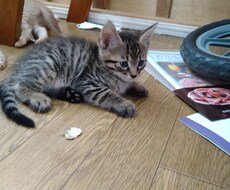 小さなことから子育てについても様々な話を聞きます イメージ1