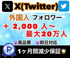 X（Twitter）のフォロワー増やします 質の高い外国人フォロワー2000人増えます！保証つき！