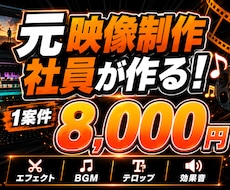 YouTubeなどの動画編集代行します イメージ1