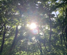 お話聞きます イメージ1