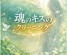 魂のキズをやさしくクリーニング（６０分）します イメージ1
