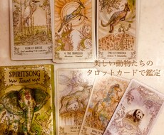 相手の気持ちを美しい動物たちが教えます イメージ1