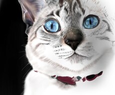 猫ちゃんのイラスト描きます イメージ1