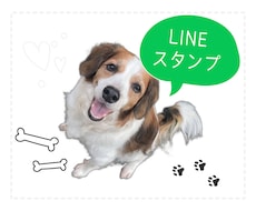 ペットなどの写真からLINEスタンプを制作します イメージ1