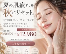 美容サロンの集客・キャンペーン画像を制作します イメージ1