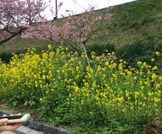 あなたの恋愛相談にのります イメージ1