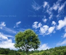 今話したい‼️聞いて欲しいを受け留めます イメージ1