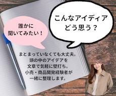 小売・商品開発の経験を活かしアイデアを整理します イメージ1