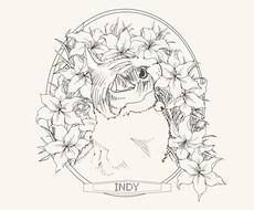 手描きでペットのイラスト描きます