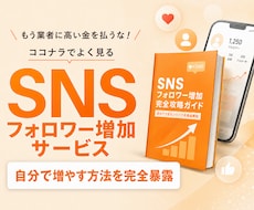 SNSのフォロワーを増やすサービスの裏側を教えます イメージ1