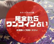 限定５！オッドアイのスフィンクスがモヤを晴らします イメージ1