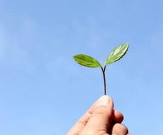 お子様の「種」おしえます イメージ1