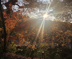 ゆる〜いタメ口で☆友達感覚で会話します イメージ1