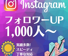 あなたのインスタを宣伝しフォロワーを増やします イメージ1
