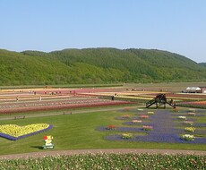 農家のお嫁さん！心の声、叫びをお聞きします イメージ1