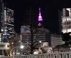 西新宿歩道橋から代々木方面への動画素材となります イメージ1