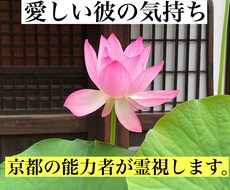 愛しい彼の気持ちを霊感・霊視・タロット鑑定します 生年月日不要。ニックネーム可。霊感・霊視に委ねてください。