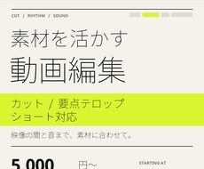 カット・テロップから動画編集までします イメージ1