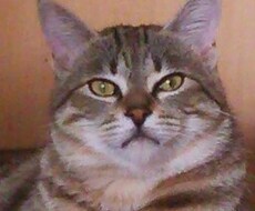 育児、仕事、恋愛にお疲れ気味の方、たまには、吐き出してスッキリしましょ♪ イメージ1