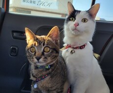 私と貴方の共有時間をもちます イメージ1