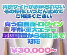 WordPressの重大エラーを調査・復旧します イメージ1