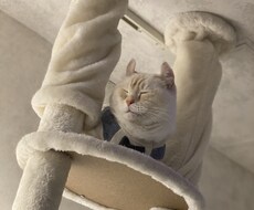 今日どんな1日？元〇嬢が愚痴、相談なんでも聞きます 現役結婚相談所カウンセラー・チャトレマネージャーと話そ♡