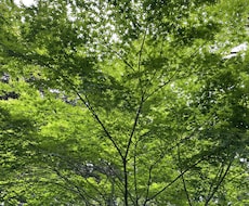 自分が話せる内容であれば何でも話ます イメージ1